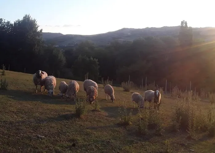 B&B All'ovile Montevescovo